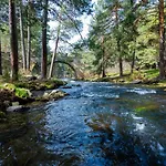 Отель Altogredos Rural Y Turisticos *